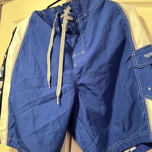 Blue and White Men's Swim Shorts